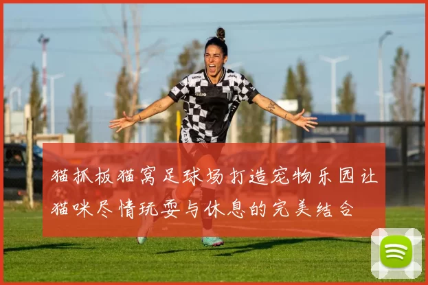 猫抓板猫窝足球场打造宠物乐园让猫咪尽情玩耍与休息的完美结合
