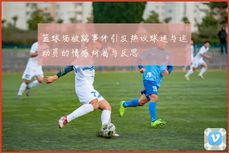 篮球场被踹事件引发热议球迷与运动员的情感纠葛与反思